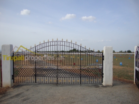 0) Residential Layouts for Sale Near to Tirupati-Yerpedu-Venkatagiri Highway.JPG